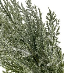 túje glitter 47 cm - zelená