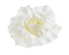 růže - hlavičky (12 ks) - krémová