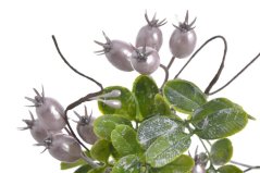 větvička buxus a šípky - růžová