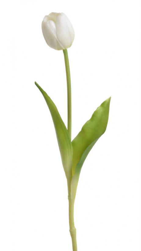 tulipán 40 cm - bílá