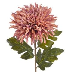 chryzantéma 72 cm - starorůžová/fialová žíhaná