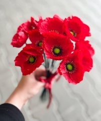 vlčí mák hlavičky (24 ks) - červená