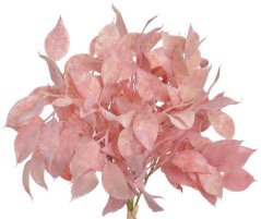 svazek fikus pastel - růžová