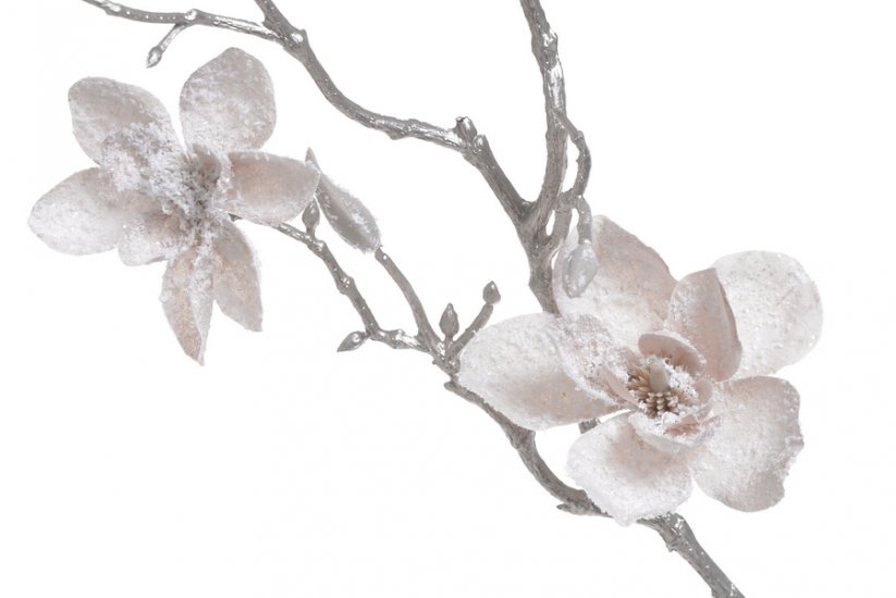 zasněžená magnolie 62 cm - pudrová světlá