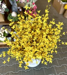 zlatý déšť 87 cm