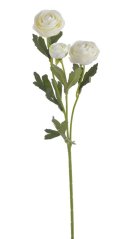 malý ranunculus 41 cm  - bílá