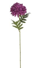 chryzantéma 51 cm - fuchsiová