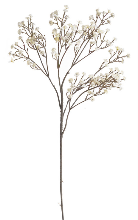 gypsophila 67 cm -  krém