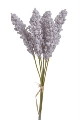 amaranthus svazek - sv. fialová