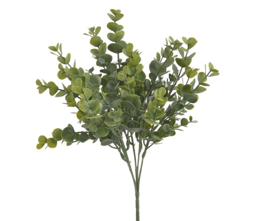 eukalyptus trs x5 - zelená