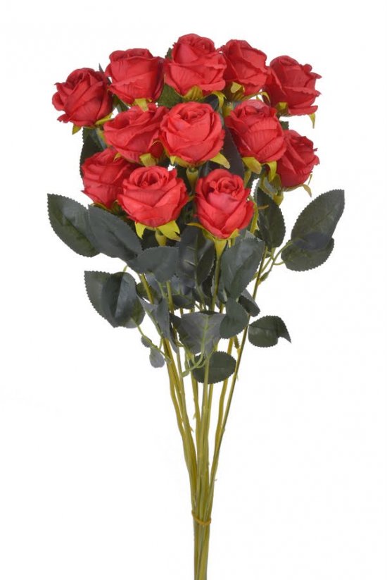 svazek dlouhých růží (12 ks) - červená