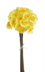 narcis svazek (6 ks) - žlutá/žloutkový střed