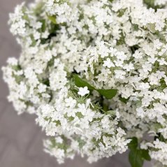 hortenzie větvička 63 cm - bílá