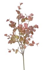 eukalyptus 48cm - růžová