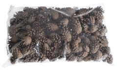 šišky - pinus sylvestris (500 g)