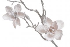 zasněžená magnolie 62 cm - pudrová světlá