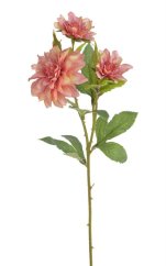 jiřina 43 cm - lososová