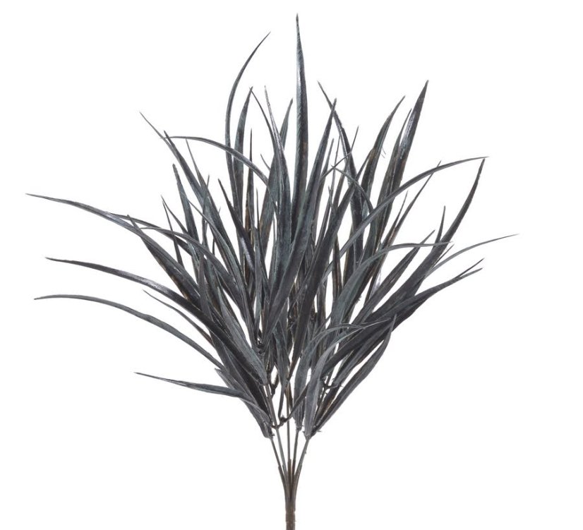 dracena x7 - šedočerná