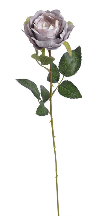 růže 62 cm - fialová