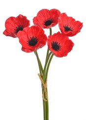 vlčí mák (5 ks) - červená