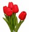 tulipán pěnový (5 ks) - červená