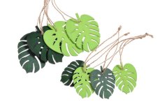 monstera listy na provázku (8 ks)