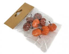 mini dýně (8 ks) - oranžová/vínová