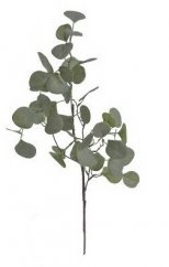 větvička eukalyptus - zelenošedá