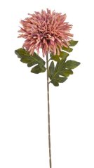 chryzantéma 72 cm - starorůžová/fialová žíhaná