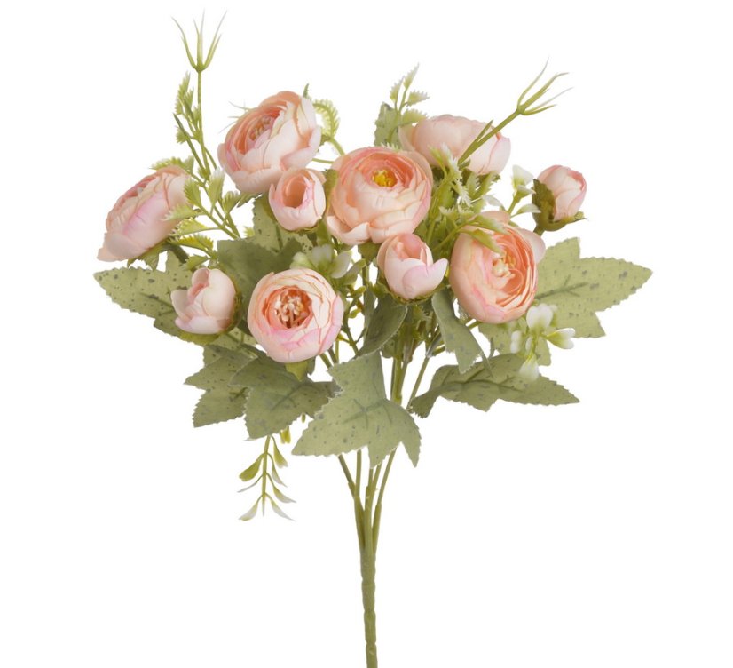 trs ranunculus x5 - broskvová