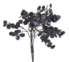 eukalyptus trs x5 - černý