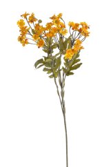 mini margaretka - žlutá