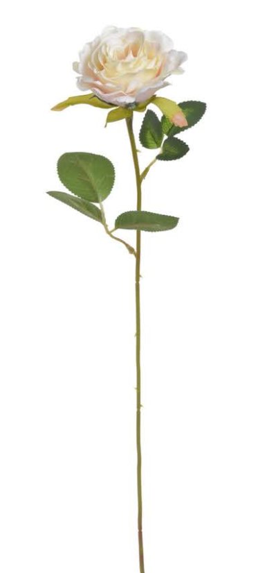růžička 52 cm - krém/broskvová