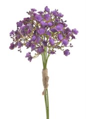 gypsophila - šater (5 ks) - fialová