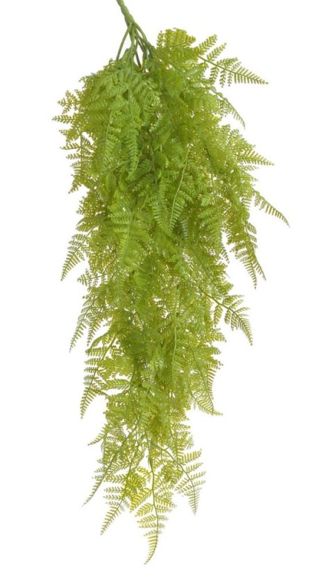 kapradí převislé trs x9 - zelená