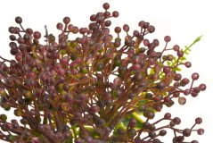 větvička s bobulemi a listy - vínová