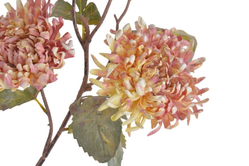 chryzantéma vintage 82 cm - krém/růžová