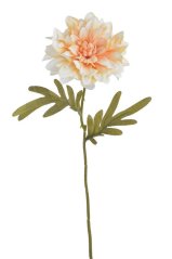 květ jiřiny 38 cm - meruňková