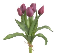 svazek tulipánů (5 ks) - tm. růžová