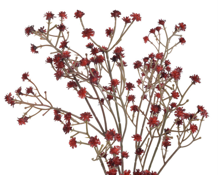gypsophila 67 cm -  tm. červená