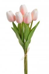 tulipán pěnový (5 ks) - růžová/bílá