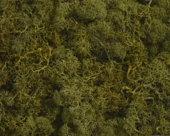 mech islandský (250 g) - olivově zelená