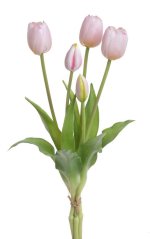 tulipán 40 cm (5 ks) - růžová