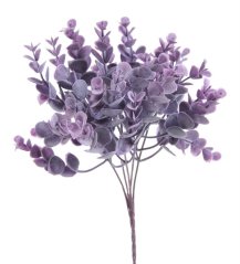 trs eukalyptus zaprášený - fialová