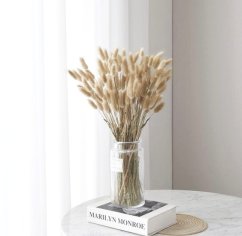 lagurus 60 cm (60 ks) - přírodní světlejší
