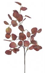podzimní větvička eukalyptus - červená