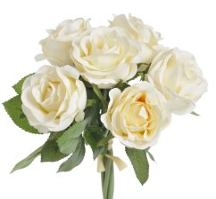 růže 7 cm (6 ks) - krémová