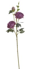 plnokvětá růže 65 cm - růžovofialová