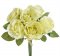 růže 7 cm (6 ks) - žlutá s nádechem do zelena
