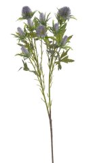 bodlák 70 cm - fialová